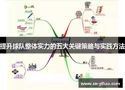 提升球队整体实力的五大关键策略与实践方法