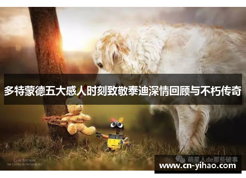 多特蒙德五大感人时刻致敬泰迪深情回顾与不朽传奇