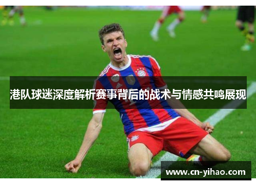 港队球迷深度解析赛事背后的战术与情感共鸣展现