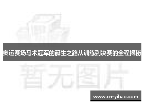 奥运赛场马术冠军的诞生之路从训练到决赛的全程揭秘