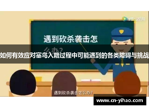 如何有效应对塞鸟入籍过程中可能遇到的各类障碍与挑战