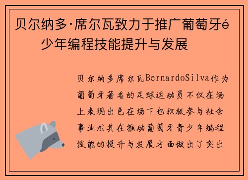 贝尔纳多·席尔瓦致力于推广葡萄牙青少年编程技能提升与发展