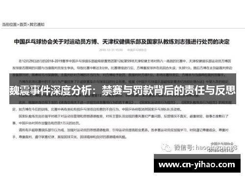 魏震事件深度分析：禁赛与罚款背后的责任与反思