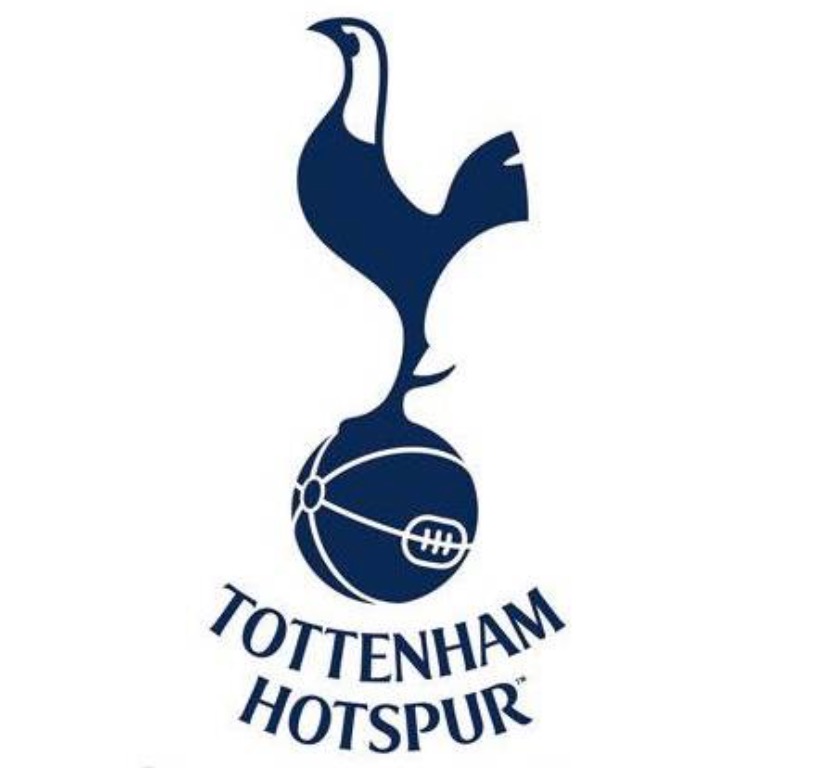 壹号娱乐-托特纳姆热刺战胜南安普顿，喜获宝贵三分的简单介绍